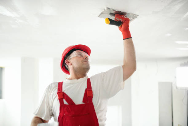 Best Repainting for Renovations  in Fobes Hill, WA